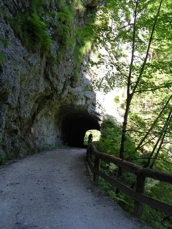 Gasthof Hensle Санкт Гален Екстериор снимка